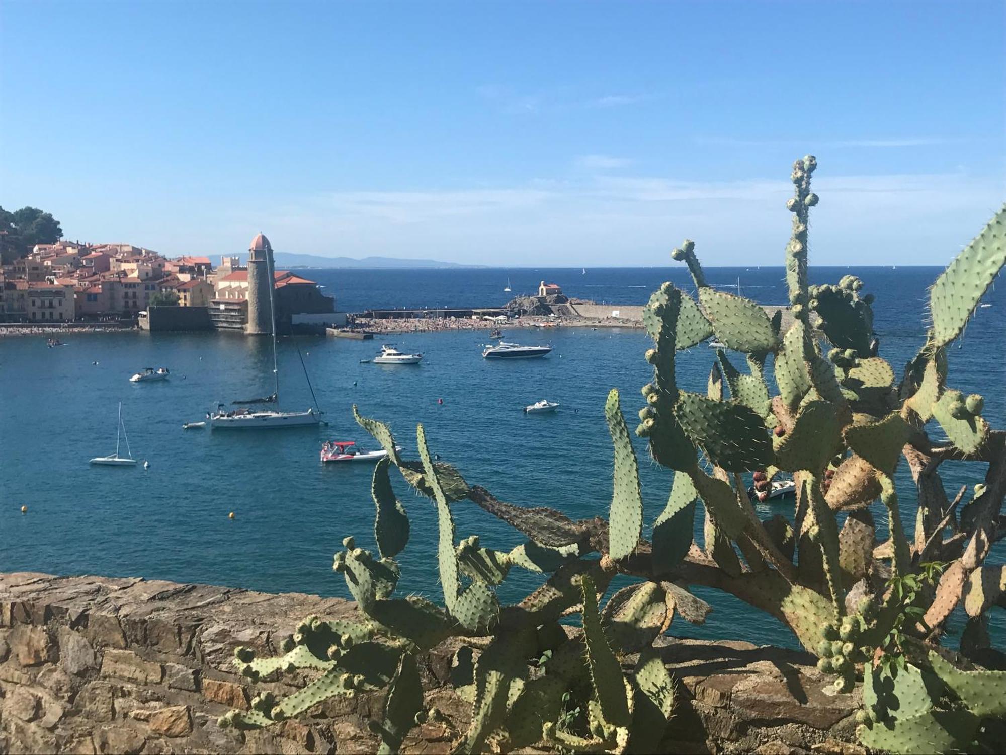 Saphir De Apartment Collioure