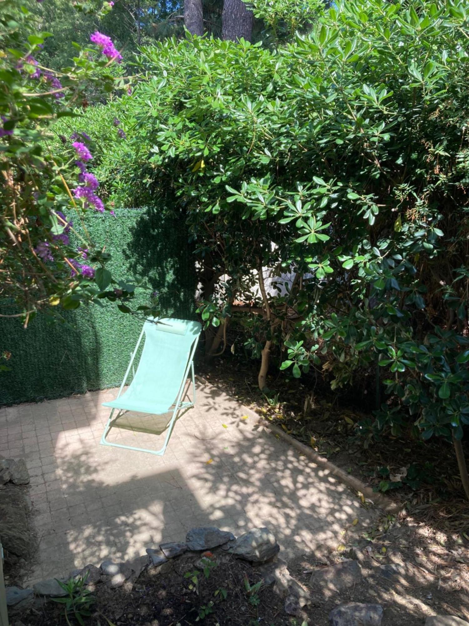 Apartment Saphir De Collioure